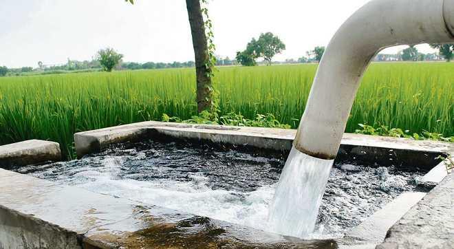 آنچه باید در خصوص کیفیت آب در کشاورزی بدانیم